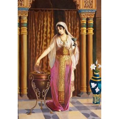Shiraz Ashraf, 13 x 19 Inch, Mixed Media On Paper, Figurative Painting, AC-SASH-002
